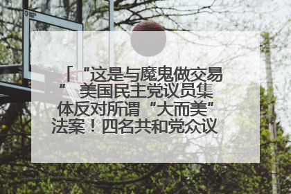 “这是与魔鬼做交易” 美国民主党议员集体反对所谓“大而美”法案！四名共和党众议员投反对票