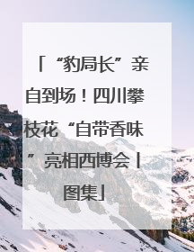 “豹局长”亲自到场！四川攀枝花“自带香味”亮相西博会丨图集