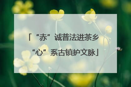 “赤”诚普法进茶乡 “心”系古镇护文脉