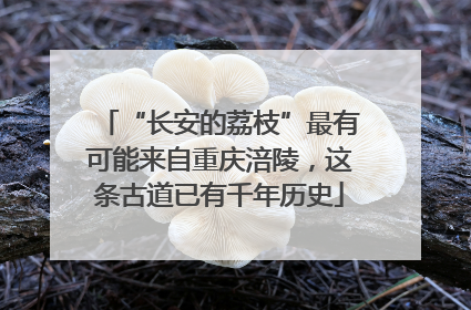 “长安的荔枝”最有可能来自重庆涪陵，这条古道已有千年历史