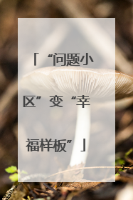 “问题小区”变“幸福样板”