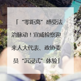 “零距离”感受法治脉动！宣威检察迎来人大代表、政协委员“沉浸式”体验