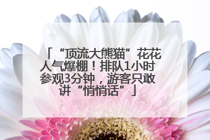 “顶流大熊猫”花花人气爆棚！排队1小时参观3分钟，游客只敢讲“悄悄话”