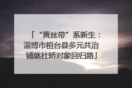 “黄丝带”系新生：淄博市桓台县多元共治铺就社矫对象回归路