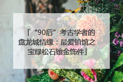 “90后”考古学者的盘龙城情缘：最爱镇馆之宝绿松石镶金饰件