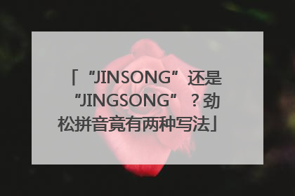 “JINSONG”还是“JINGSONG”？劲松拼音竟有两种写法