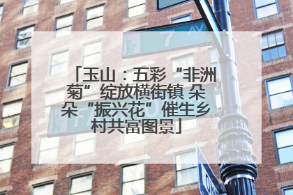 玉山：五彩“非洲菊”绽放横街镇 朵朵“振兴花”催生乡村共富图景