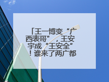 王一博变“广西表哥”，王安宇成“王安全”！谁来了两广都得“腌入味”