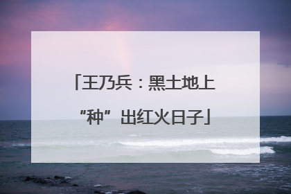 王乃兵：黑土地上“种”出红火日子