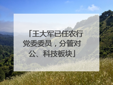 王大军已任农行党委委员，分管对公、科技板块