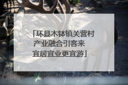 环县木钵镇关营村 产业融合引客来 宜居宜业更宜游