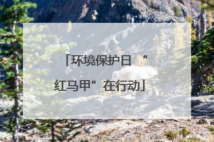环境保护日 “红马甲”在行动