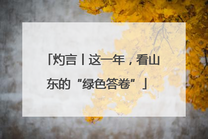 灼言丨这一年，看山东的“绿色答卷”