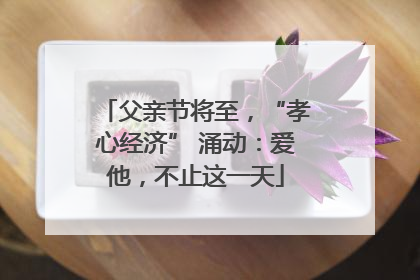 父亲节将至，“孝心经济” 涌动：爱他，不止这一天