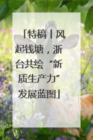 特稿丨风起钱塘，浙台共绘“新质生产力”发展蓝图