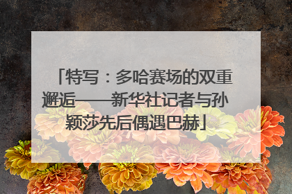 特写：多哈赛场的双重邂逅——新华社记者与孙颖莎先后偶遇巴赫