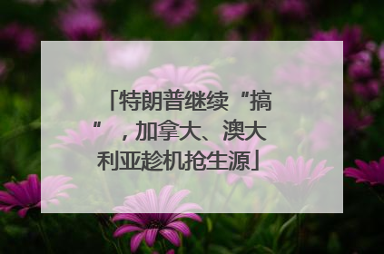 特朗普继续“搞”，加拿大、澳大利亚趁机抢生源