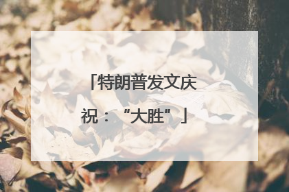 特朗普发文庆祝：“大胜”