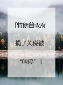 特朗普政府一揽子关税被“叫停”