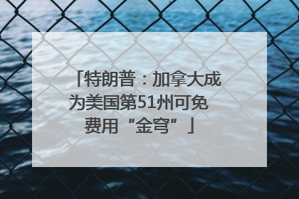 特朗普：加拿大成为美国第51州可免费用“金穹”