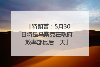 特朗普:5月30日将是马斯克在政府效率部最后一天