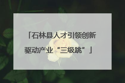 石林县人才引领创新驱动产业“三级跳”