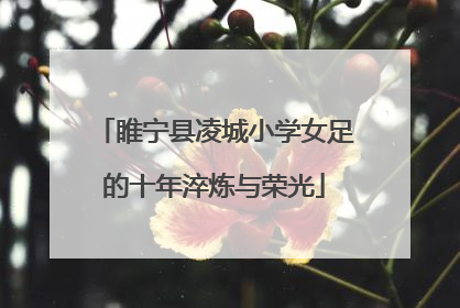 睢宁县凌城小学女足的十年淬炼与荣光