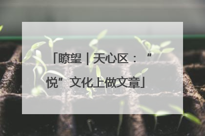 瞭望｜天心区：“悦”文化上做文章