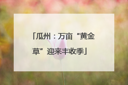 瓜州：万亩“黄金草”迎来丰收季