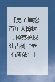 男子擅挖百年大樟树，检察护绿让古树“老有所依”