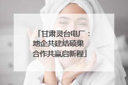 甘肃灵台电厂：地企共建结硕果 合作共赢启新程