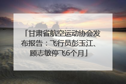 甘肃省航空运动协会发布报告：飞行员彭玉江、顾志敏停飞6个月