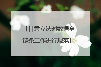 甘肃立法对数据全链条工作进行规范