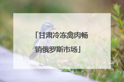 甘肃冷冻禽肉畅销俄罗斯市场