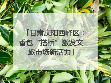 甘肃庆阳西峰区：香包“搭桥”激发文旅市场新活力