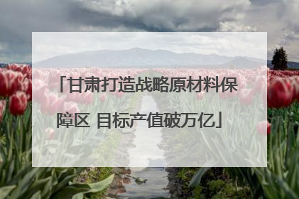 甘肃打造战略原材料保障区 目标产值破万亿