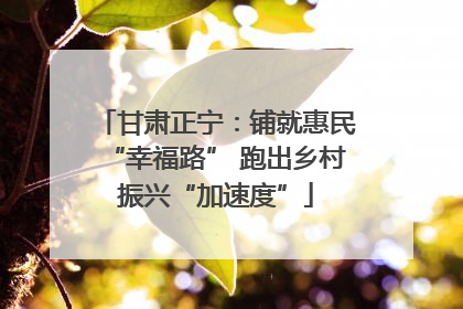 甘肃正宁：铺就惠民“幸福路” 跑出乡村振兴“加速度”