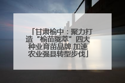 甘肃榆中：聚力打造“榆苗陇萃”四大种业育苗品牌 加速农业强县转型步伐
