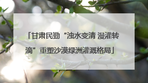 甘肃民勤“浊水变清 漫灌转滴”重塑沙漠绿洲灌溉格局