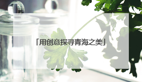 用创意探寻青海之美