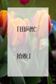 田间忙抢收
