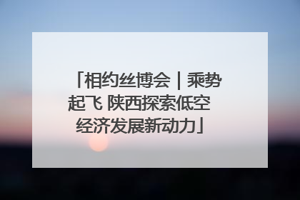 相约丝博会｜乘势起飞 陕西探索低空经济发展新动力