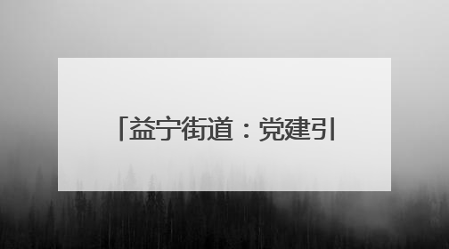 益宁街道：党建引领多元共治 绘就基层治理新画卷