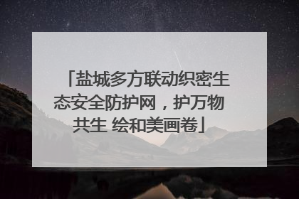 盐城多方联动织密生态安全防护网，护万物共生 绘和美画卷