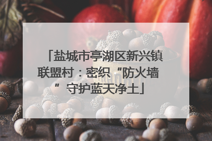 盐城市亭湖区新兴镇联盟村：密织“防火墙”守护蓝天净土