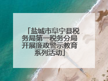 盐城市阜宁县税务局第一税务分局开展廉政警示教育系列活动
