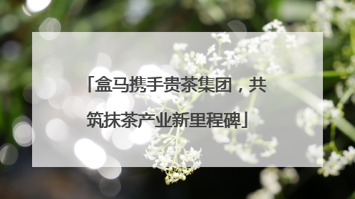 盒马携手贵茶集团，共筑抹茶产业新里程碑