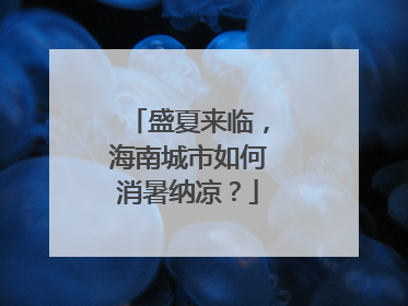 盛夏来临，海南城市如何消暑纳凉？