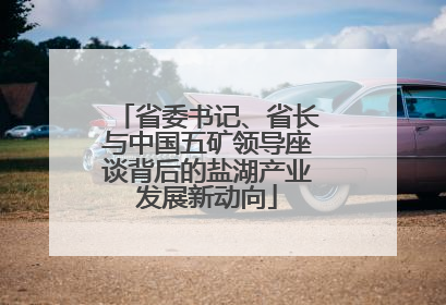 省委书记、省长与中国五矿领导座谈背后的盐湖产业发展新动向