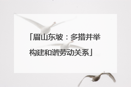眉山东坡：多措并举构建和谐劳动关系